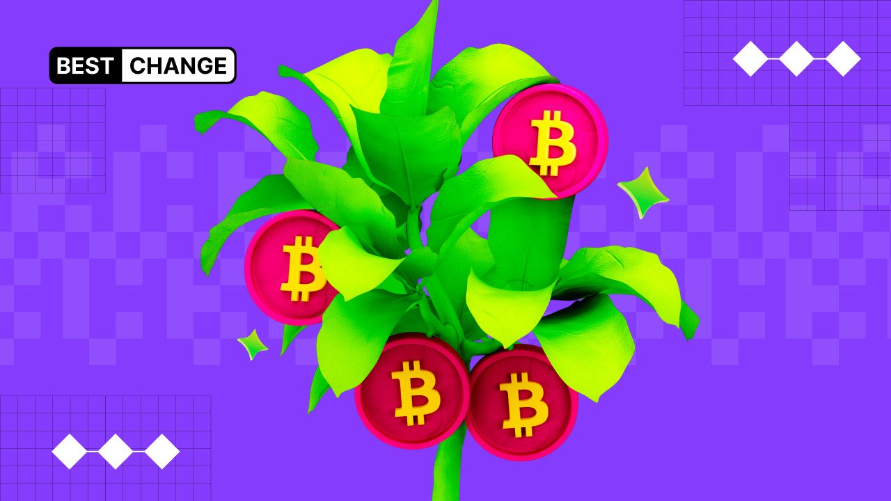 Мир биткоина: как устроена экосистема первой криптовалюты